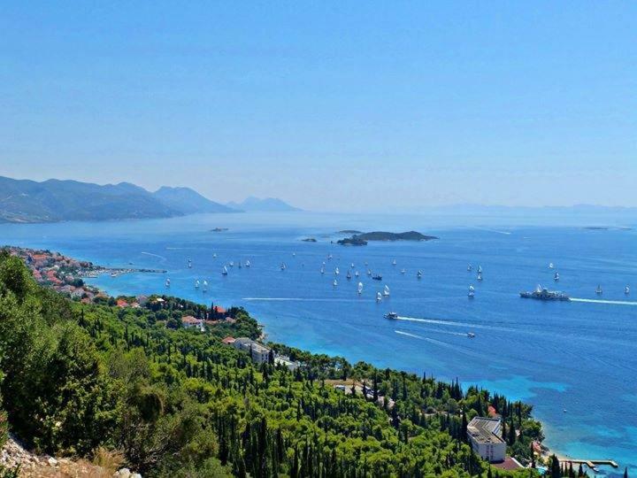 Apartmani Villa Lidija Orebić Eksteriør bilde